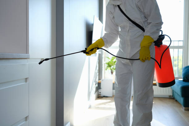 Best Commercial Mold Removal  in Pocola, OK